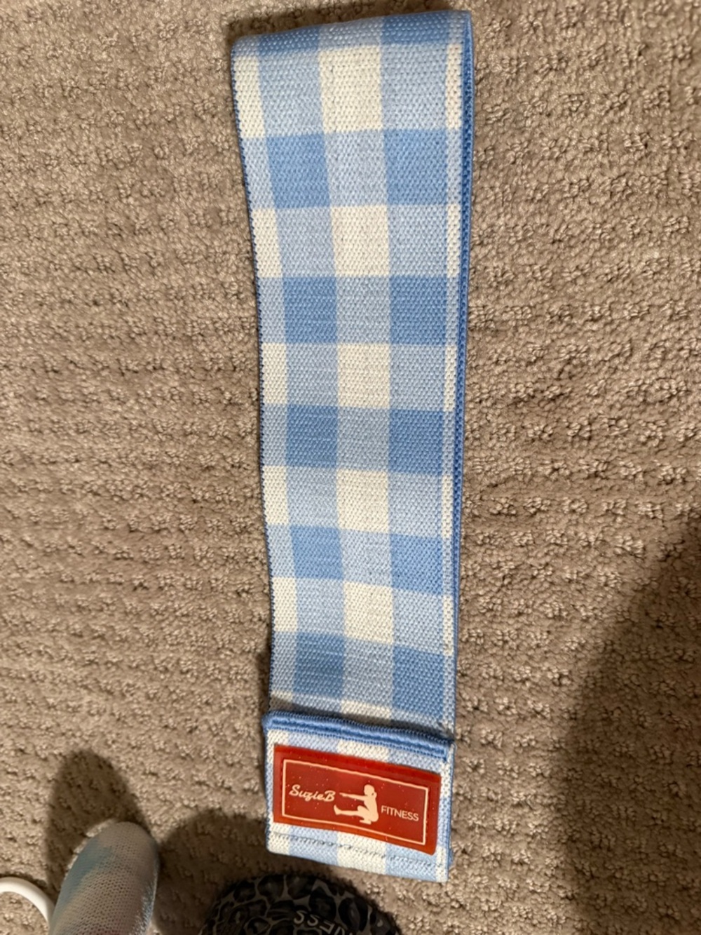 Light Blue Gingham Fabric Resistance Band - SuzieB Fitness